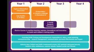 Diagram of a 4-year Biomedical AI training programme. Year 1 covers biomedical informatics and AI ethics; Year 2 includes a group project or industry challenge plus a 3-month research placement leading into Year 3; Year 4 focuses on research. Electives in machine learning, statistics, biomedicine, and innovation run throughout, alongside skills training in responsible AI, ethics, career planning, and communication, plus activities such as industry days, seminars, conferences, and public engagement events.
